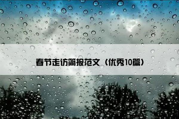 春节走访简报范文（优秀10篇）