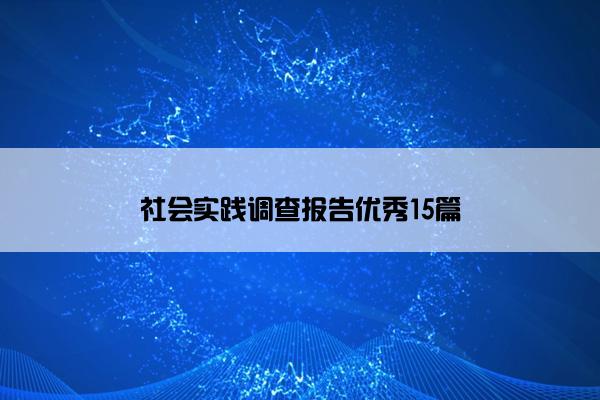 社会实践调查报告优秀15篇