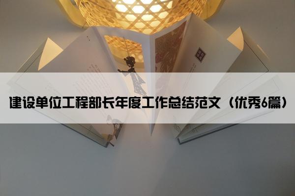 建设单位工程部长年度工作总结范文（优秀6篇）