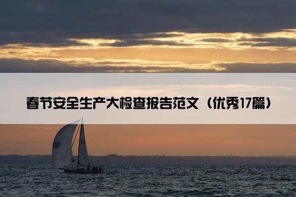 春节安全生产大检查报告范文（优秀17篇）