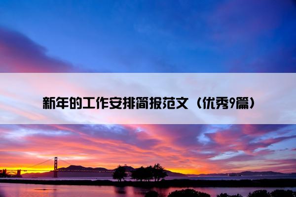 新年的工作安排简报范文（优秀9篇）