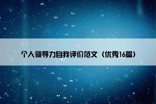 个人领导力自我评价范文（优秀16篇）