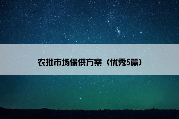 农批市场保供方案（优秀5篇）