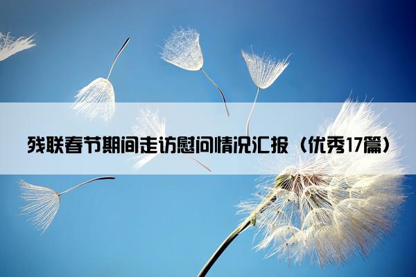 残联春节期间走访慰问情况汇报（优秀17篇）