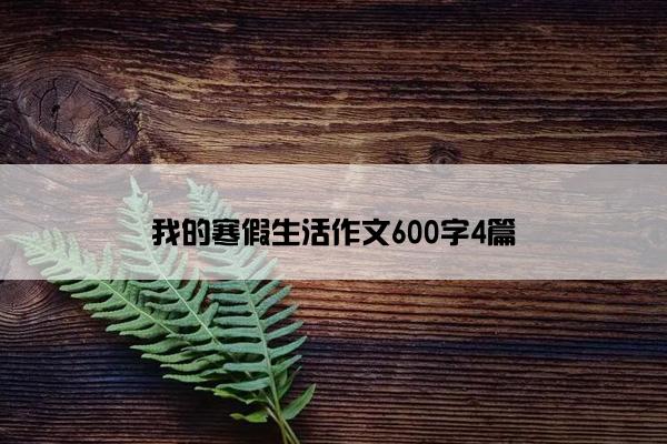 我的寒假生活作文600字4篇