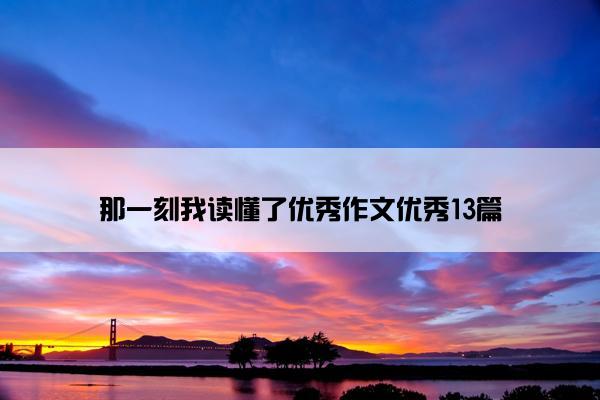 那一刻我读懂了优秀作文优秀13篇