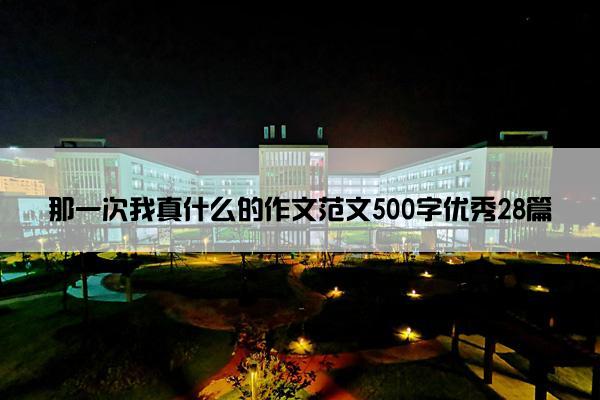 那一次我真什么的作文范文500字优秀28篇