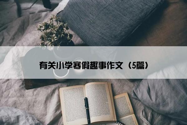 有关小学寒假趣事作文（5篇）