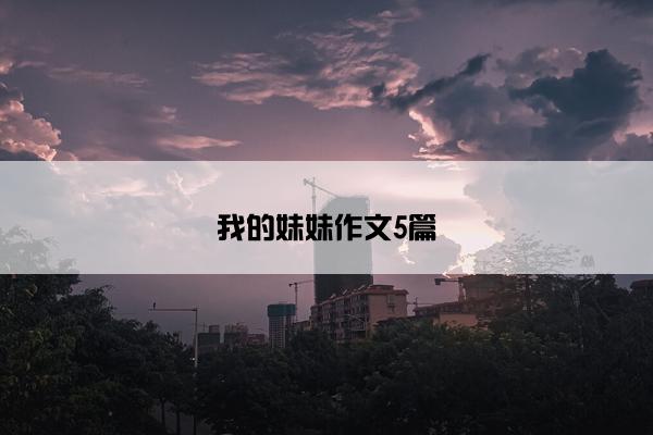 我的妹妹作文5篇