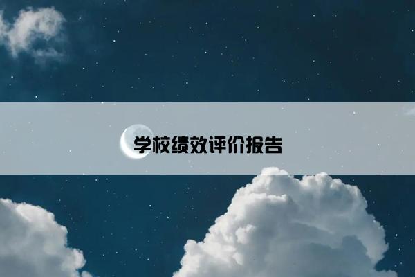 学校绩效评价报告