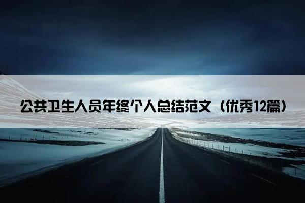 公共卫生人员年终个人总结范文（优秀12篇）