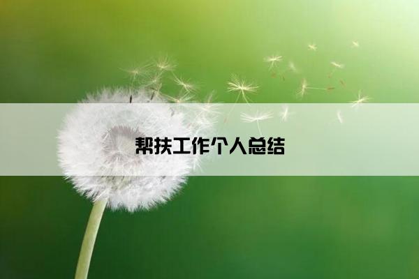 帮扶工作个人总结