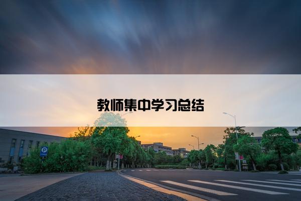 教师集中学习总结
