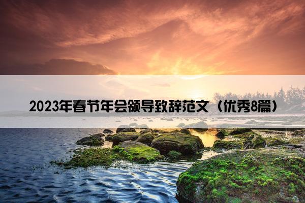 2023年春节年会领导致辞范文（优秀8篇）