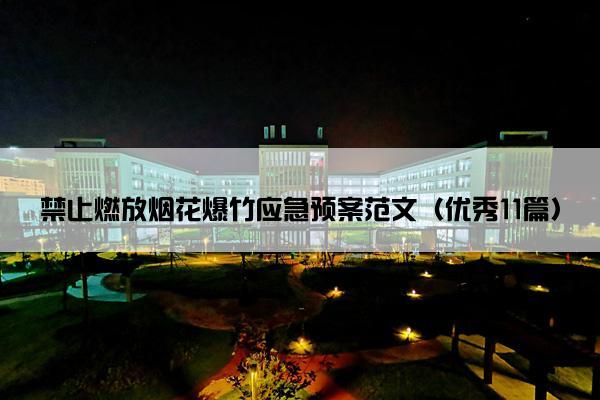 禁止燃放烟花爆竹应急预案范文（优秀11篇）