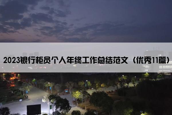 2023银行柜员个人年终工作总结范文（优秀11篇）