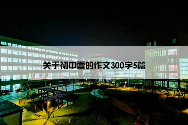 关于初中雪的作文300字5篇