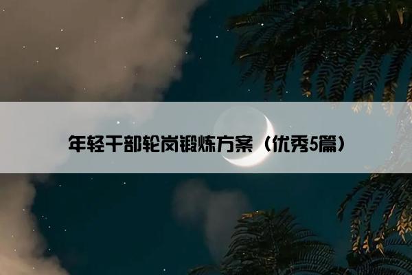 年轻干部轮岗锻炼方案（优秀5篇）