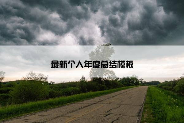 最新个人年度总结模板