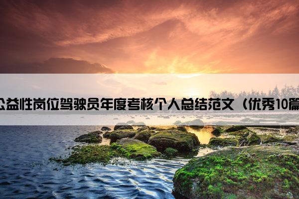 公益性岗位驾驶员年度考核个人总结范文（优秀10篇）