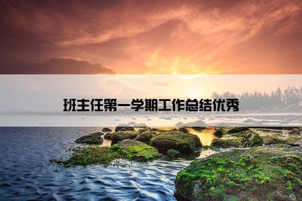 班主任第一学期工作总结优秀