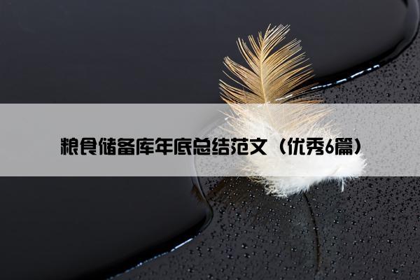 粮食储备库年底总结范文（优秀6篇）