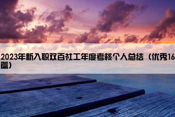 2023年新入职双百社工年度考核个人总结（优秀16篇）