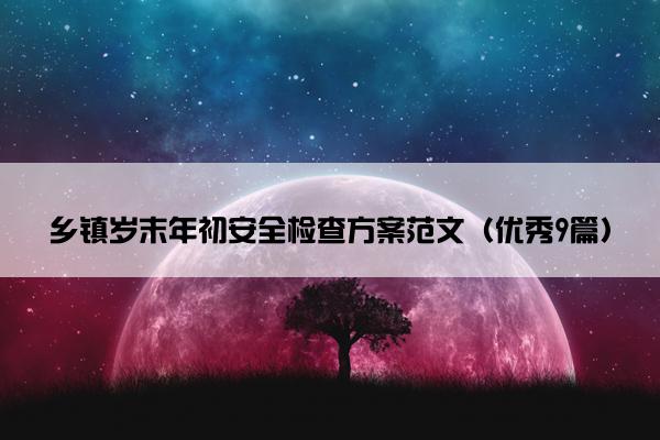 乡镇岁末年初安全检查方案范文（优秀9篇）