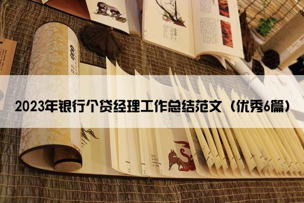 2023年银行个贷经理工作总结范文（优秀6篇）