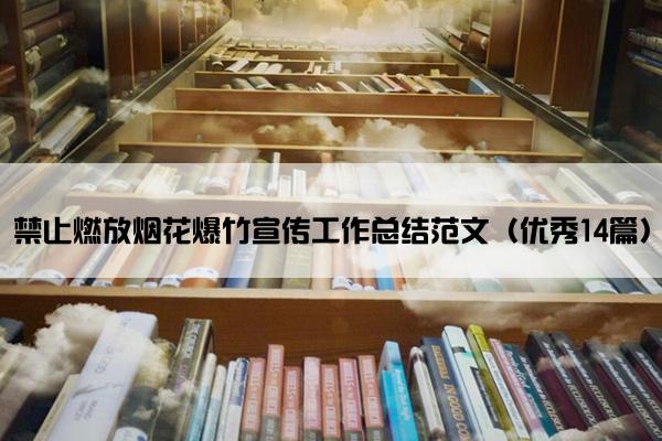 禁止燃放烟花爆竹宣传工作总结范文（优秀14篇）