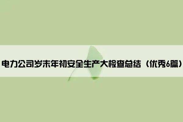 电力公司岁末年初安全生产大检查总结（优秀6篇）
