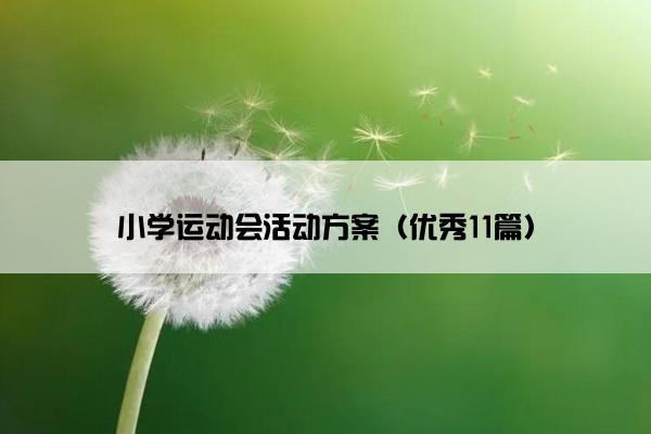 小学运动会活动方案（优秀11篇）