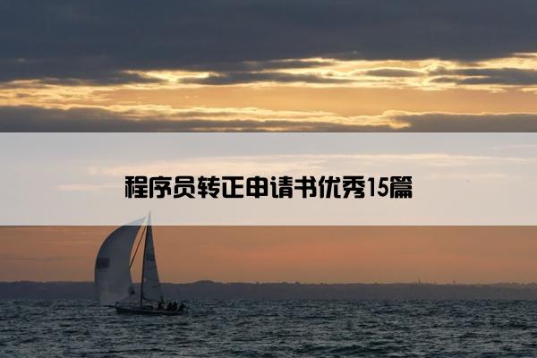 程序员转正申请书优秀15篇