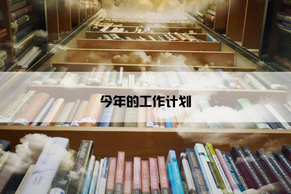 今年的工作计划