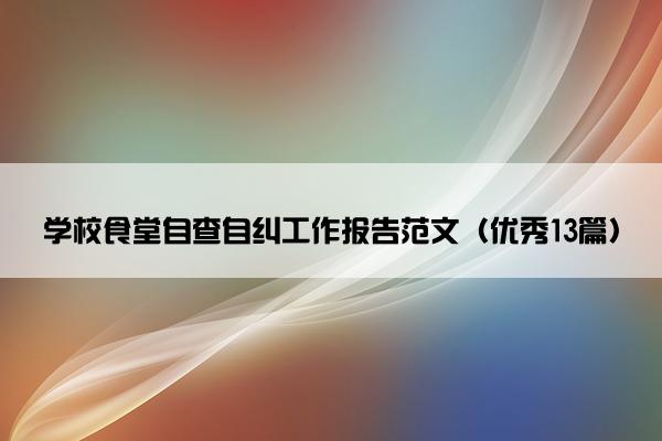 学校食堂自查自纠工作报告范文（优秀13篇）