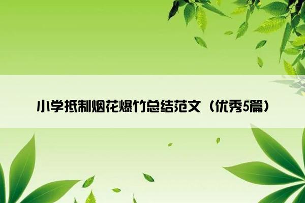 小学抵制烟花爆竹总结范文（优秀5篇）