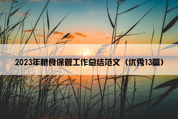 2023年粮食保管工作总结范文（优秀13篇）