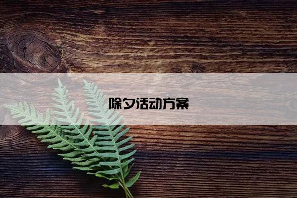 除夕活动方案 除夕活动方案