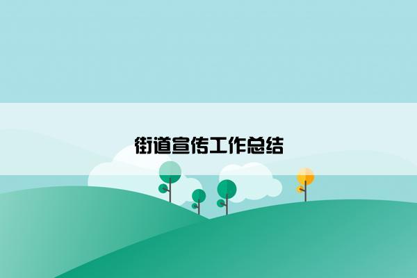 街道宣传工作总结