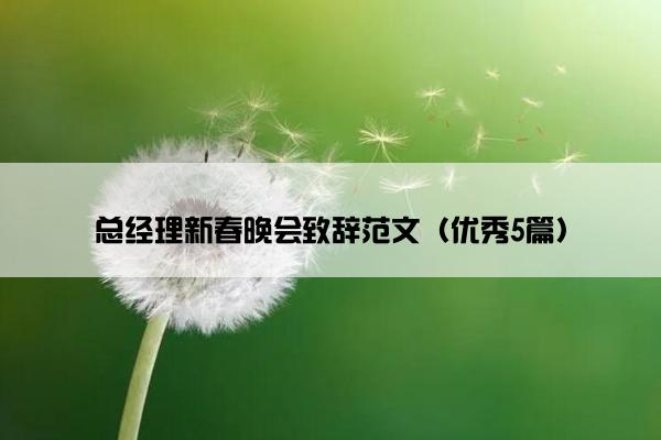 总经理新春晚会致辞范文（优秀5篇）