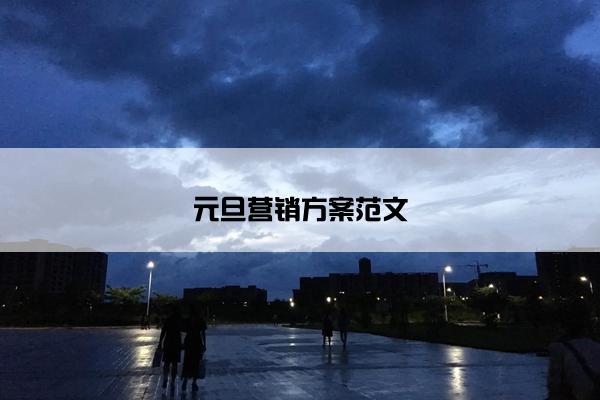 元旦营销方案范文