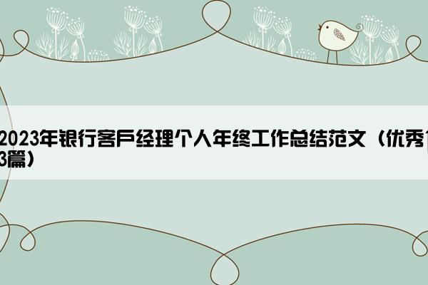 2023年银行客户经理个人年终工作总结范文（优秀13篇）
