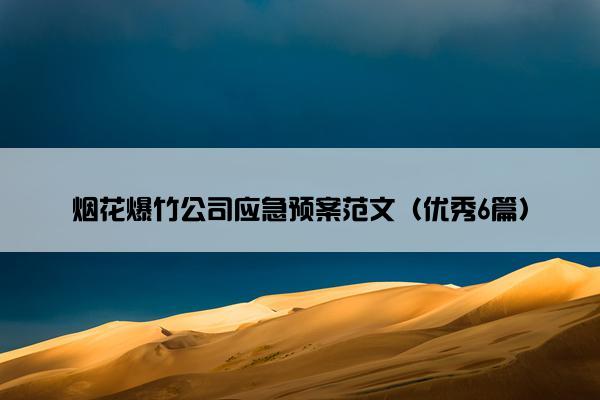 烟花爆竹公司应急预案范文（优秀6篇）