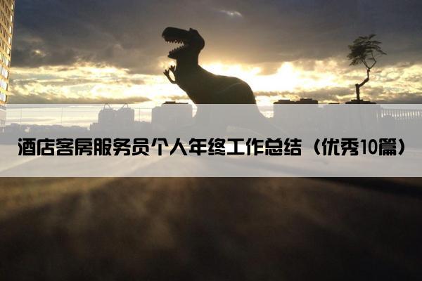 酒店客房服务员个人年终工作总结（优秀10篇）
