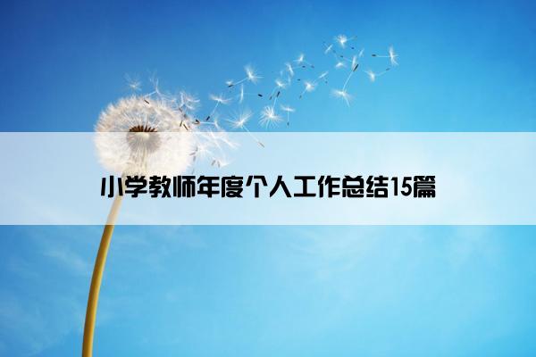 小学教师年度个人工作总结15篇