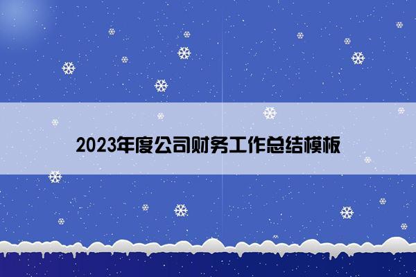 2023年度公司财务工作总结模板