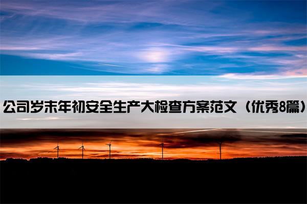 公司岁末年初安全生产大检查方案范文（优秀8篇）