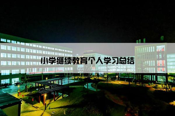 小学继续教育个人学习总结