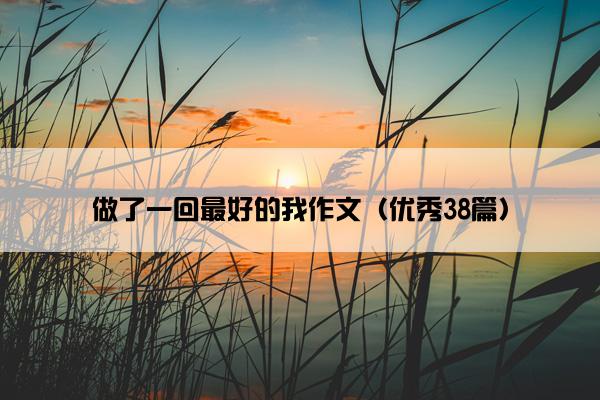做了一回最好的我作文（优秀38篇）