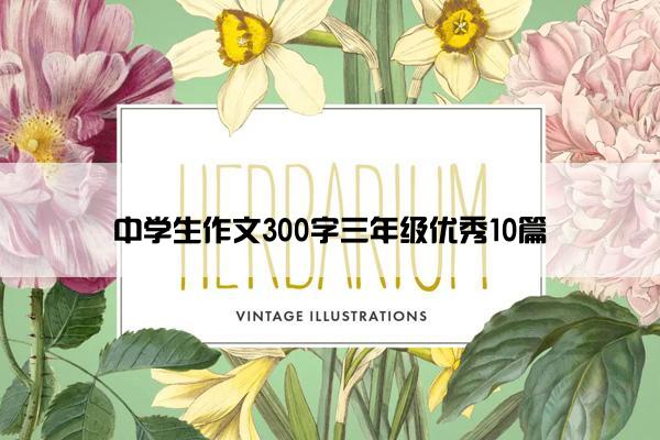 中学生作文300字三年级优秀10篇